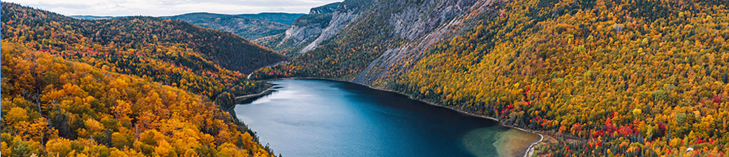 Corner Brook Route